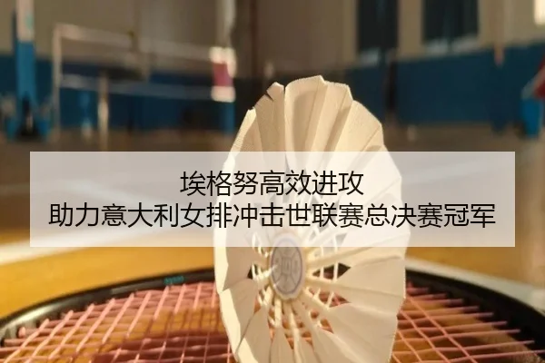 埃格努高效进攻 助力意大利女排冲击世联赛总决赛冠军