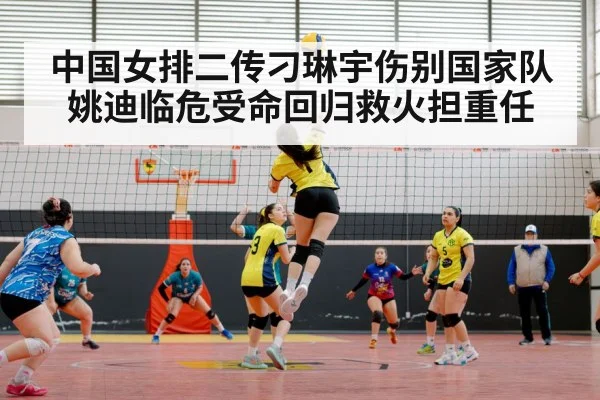 中国女排二传刁琳宇伤别国家队姚迪临危受命回归救火担重任