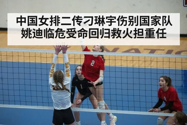 volleyball setter action