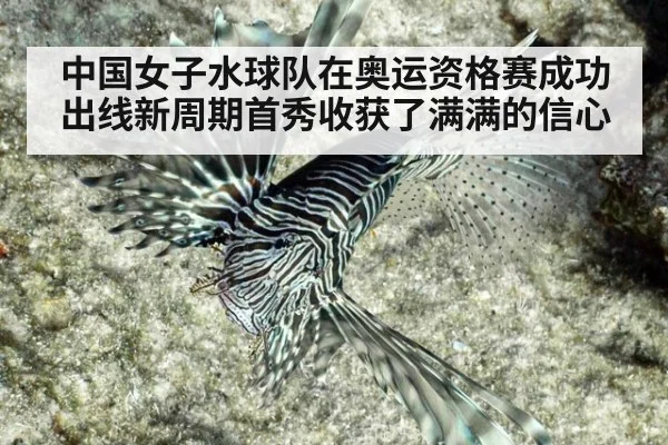 中国女子水球队在奥运资格赛成功出线新周期首秀收获了满满的信心