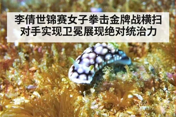 李倩世锦赛女子拳击金牌战横扫对手实现卫冕展现绝对统治力